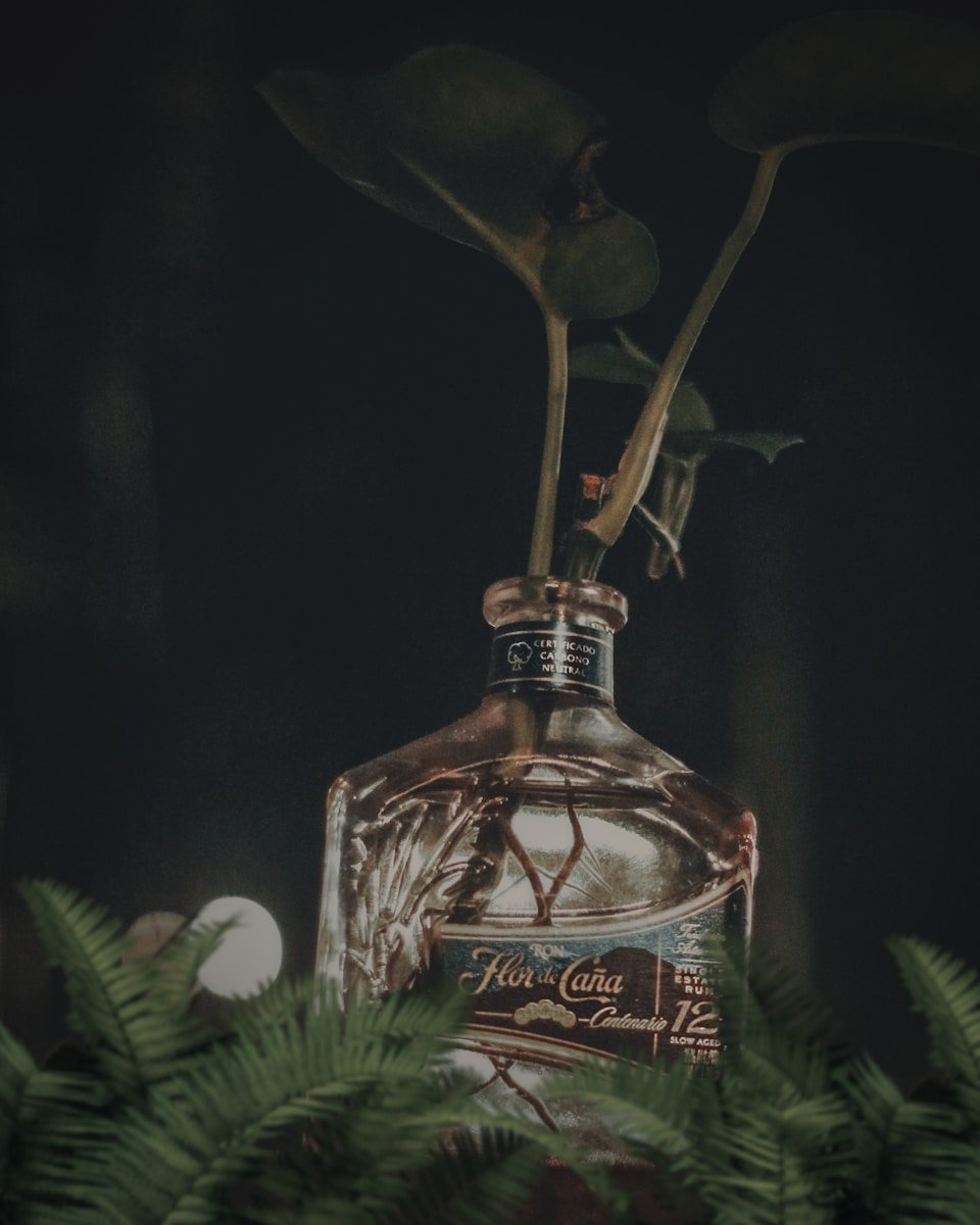 Cosmetica de alta gama en centro estetica bejar